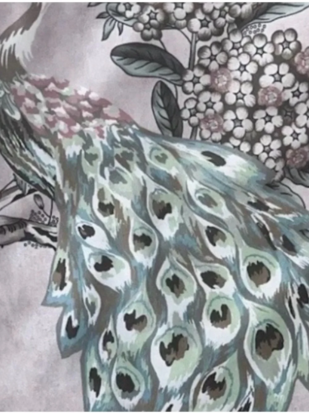 CALLISTO Home Window Curtains 2 Panels 38 X 84” Peacock Birds Back Tab pink